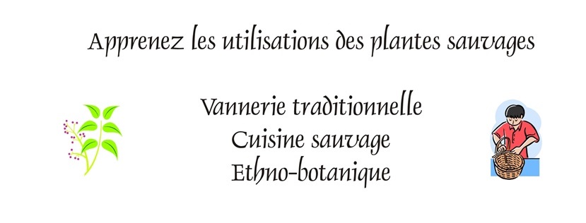 image accueil